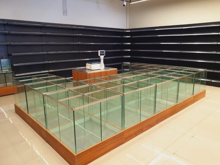 WhatsApp Image 2025-12-14 at 1.50.30 PM (2)